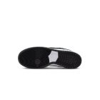 SB Dunk Low Pro White Black