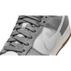Dunk Low SE Cool Grey Photon Dust