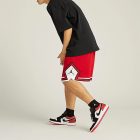 Jordan 1 Low SE Black Toe 2025